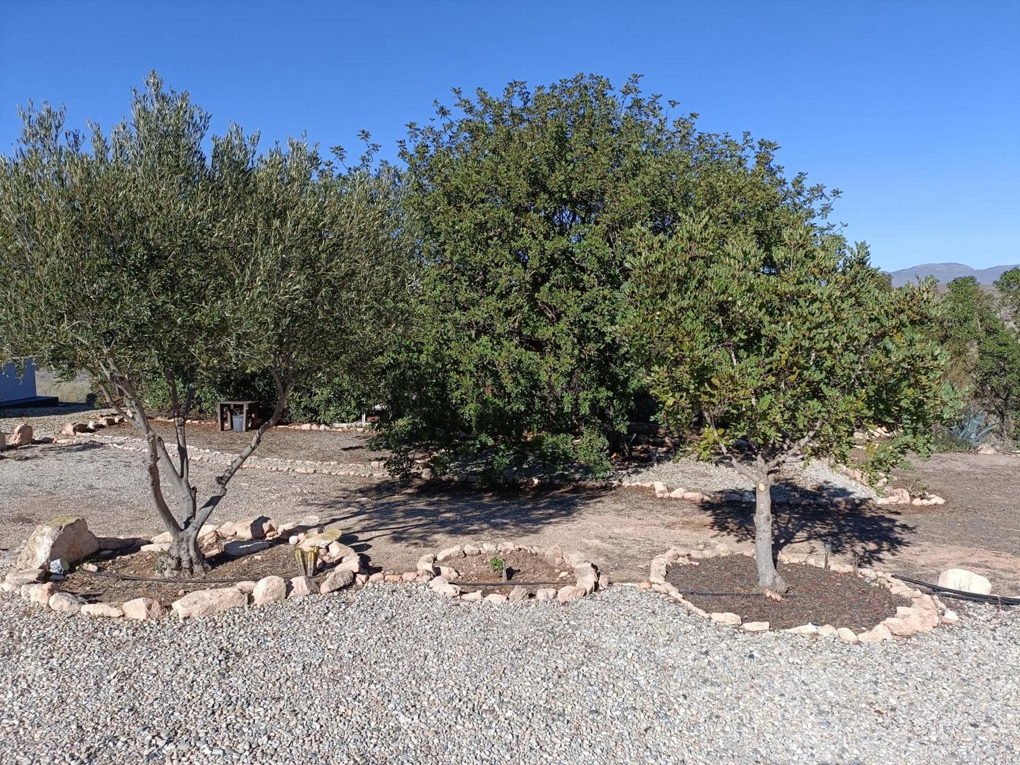El Cerrillo Villa Agua Amarga  Buitenkant foto